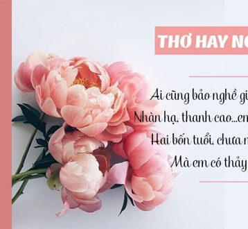 Thơ Về Thầy Cô – Những Vần Thơ Chạm Đến Trái Tim Người Dạy Chữ