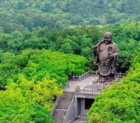 532489101 1990539191781854 1196195308315434574 N