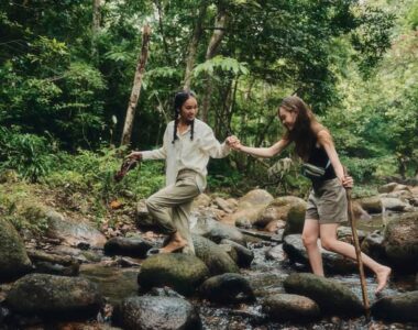 547505039 4214047432148304 8346246300000615506 N