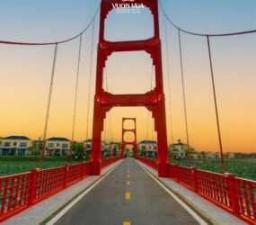 558354615 1555982665392058 8233507242471614582 N