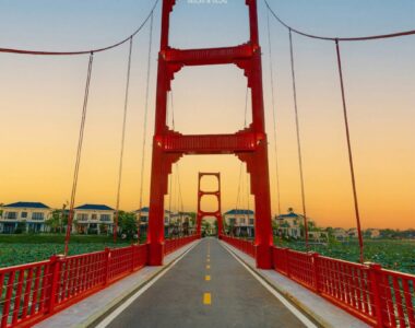 558354615 1555982665392058 8233507242471614582 N