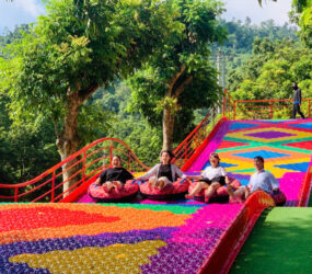 Z6871446495454 4ece64f3c5985021a1300b8025bf3bd2