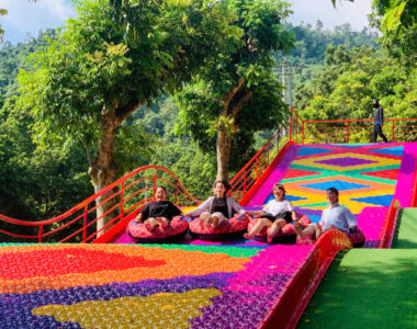 Z6871446495454 4ece64f3c5985021a1300b8025bf3bd2