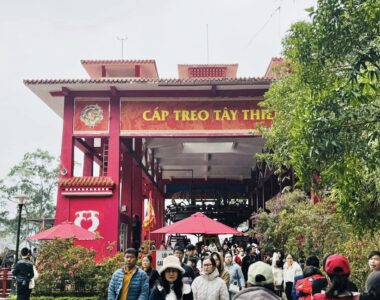 482064355 956795069935986 8877735280090552883 N