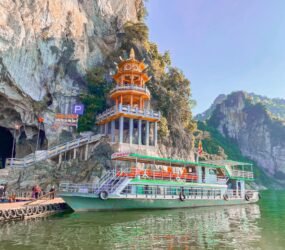 509428464 4048819705431591 8434724328453615544 N