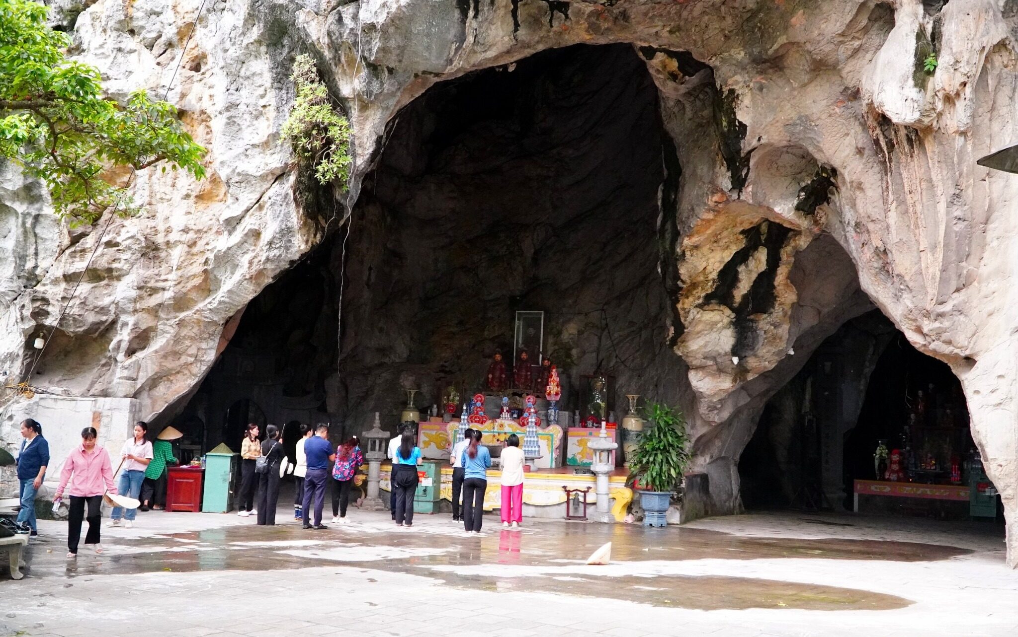 539561995 1318680443388961 2294513347823358399 N