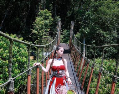 540753280 1339829338143291 5595621773455026297 N