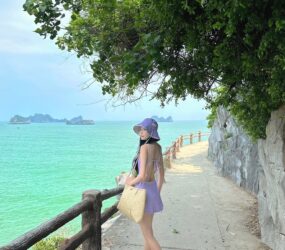 559052970 3862368627386327 2858820613572616978 N