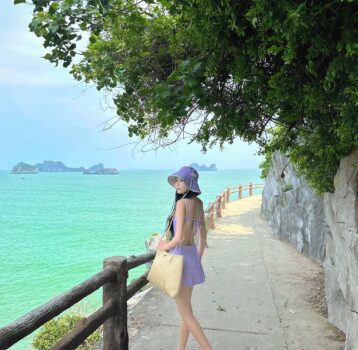 Cẩm Nang Đặt Tour Du Lịch Cát Bà 3 Ngày 2 Đêm Đầy Đủ Và Tiết Kiệm