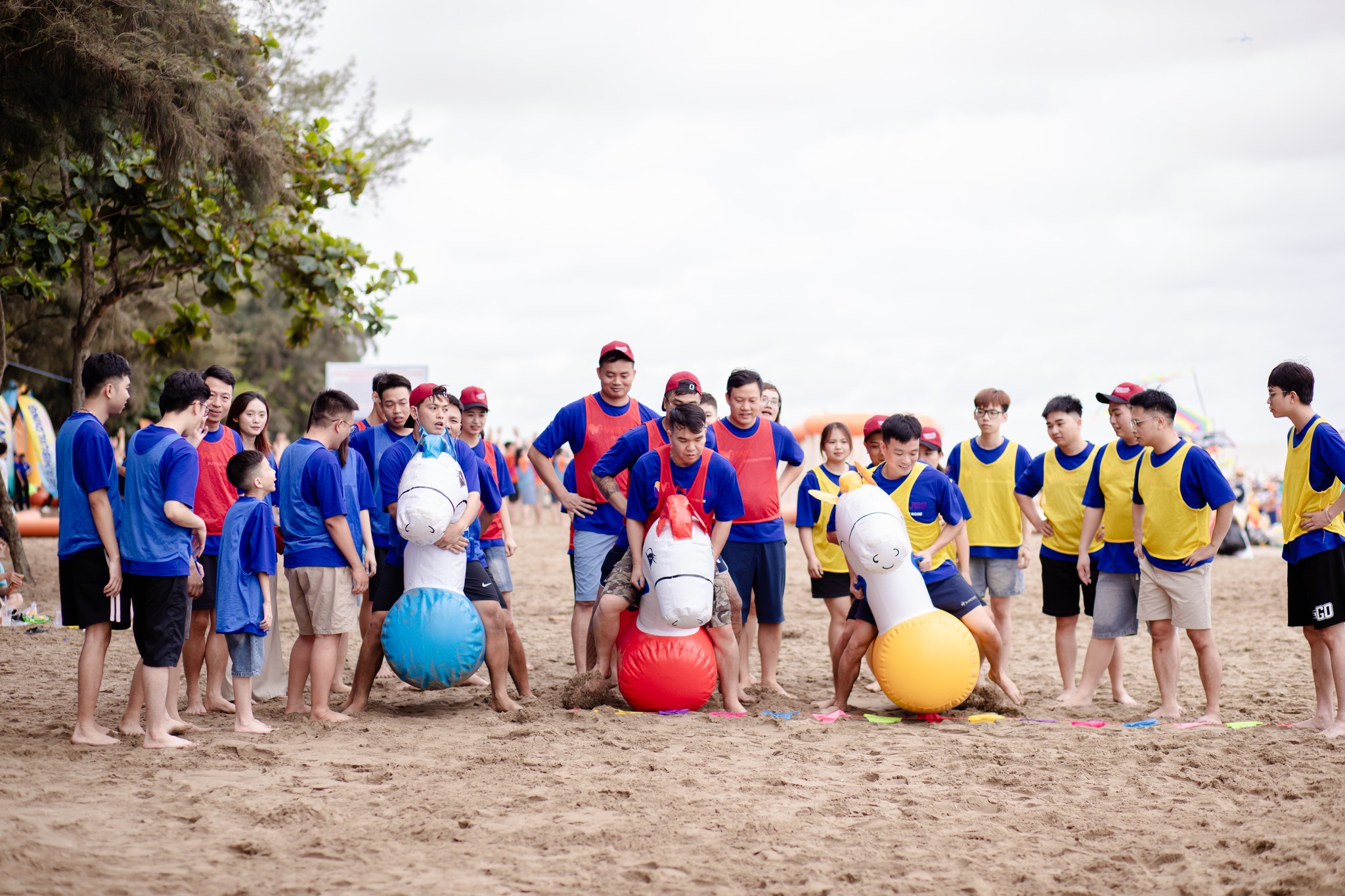 522976311 1464045142395310 8909643515297532567 N