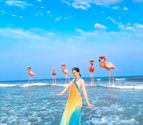 524709458 1434539907651603 2981090086653636361 N