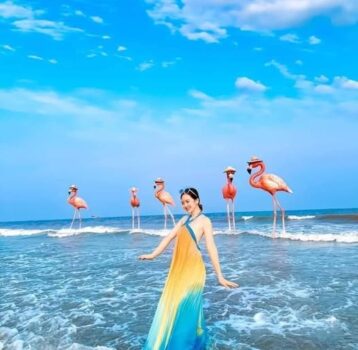 Tất Tần Tật Kinh Nghiệm Du Lịch Flamingo Hải Tiến 2 Ngày 1 Đêm
