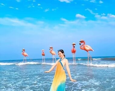 524709458 1434539907651603 2981090086653636361 N