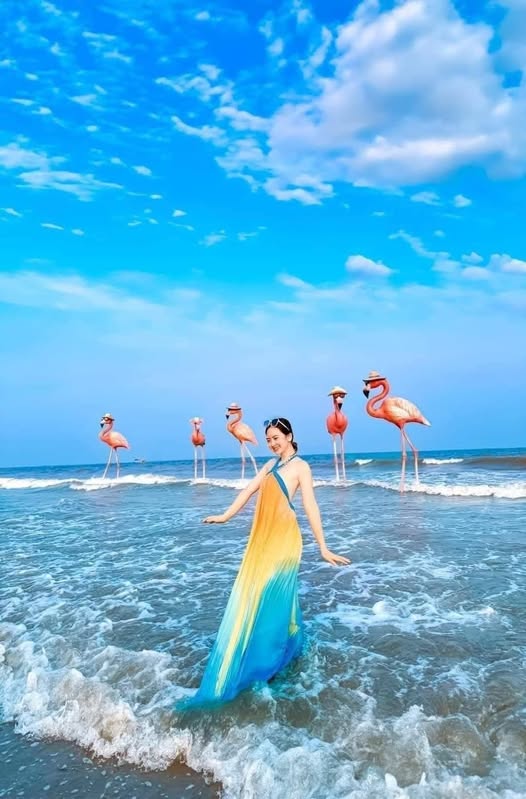 Tất Tần Tật Kinh Nghiệm Du Lịch Flamingo Hải Tiến 2 Ngày 1 Đêm